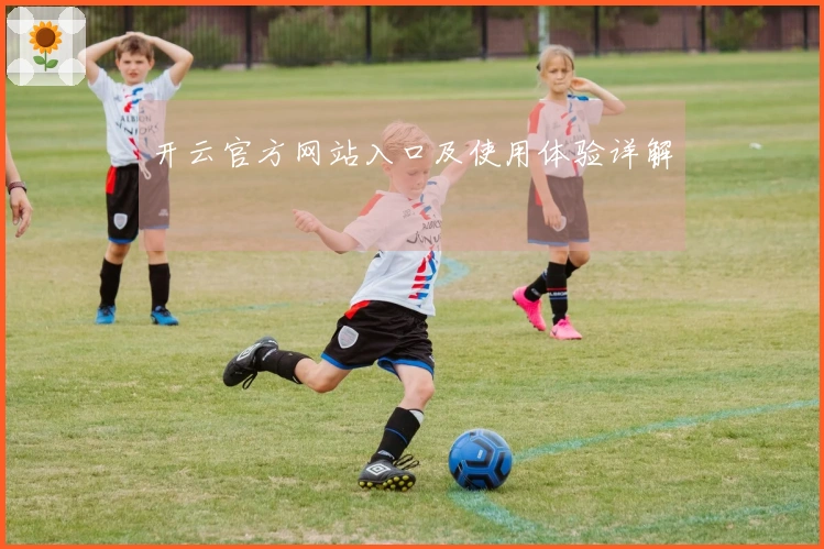 开云官方网站入口及使用体验详解